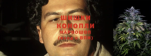apvp Корсаков