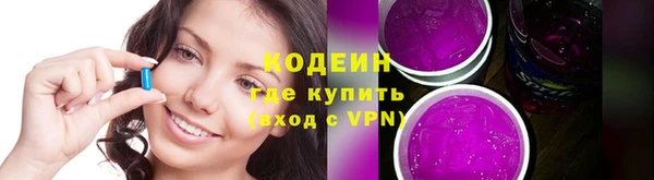 хмурый Кодинск