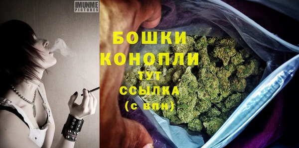 дмт Козловка