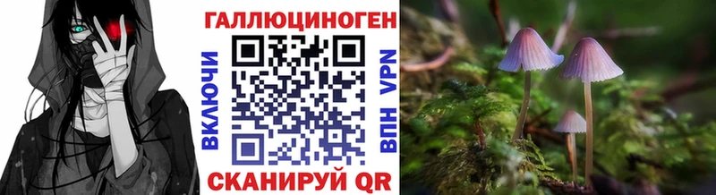 Псилоцибиновые грибы Psilocybe  Каменногорск 