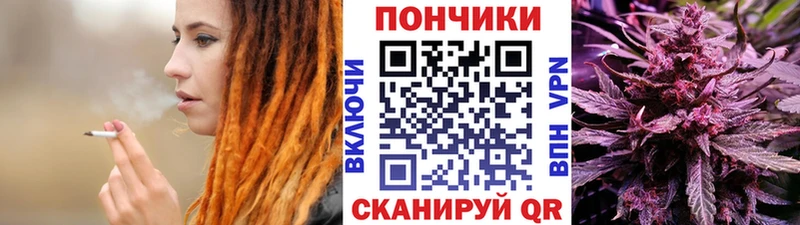 Бошки Шишки MAZAR  купить закладку  Каменногорск 